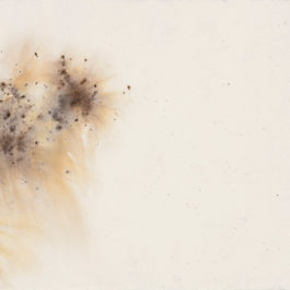 蔡國強，晝夜草稿-野花，2009，火藥/日本高知麻紙，57 × 100 cm