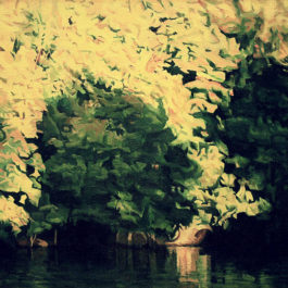 陳建中，水邊樹影，2009，油彩／畫布，44 x 60.5 cm