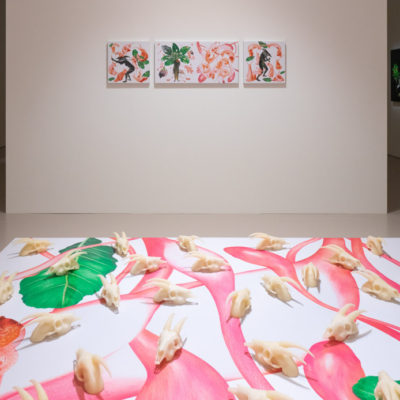劉世芬，〈穆勒氏花園——羊走迷〉，2013，色鉛筆素描結合數位影像／輸出於紙上（鋁板裱褙） + 鹽雕，尺寸依現場而定