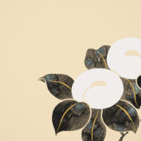 品川亮，白椿，2023，墨、胡粉、牛膠、金泥／紙，25 x 37.5 cm